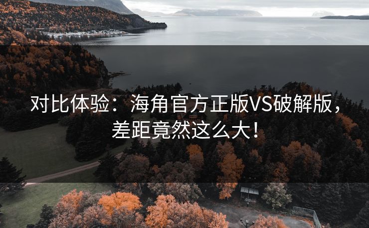 对比体验：海角官方正版VS破解版，差距竟然这么大！