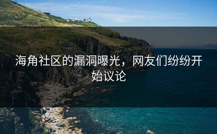 海角社区的漏洞曝光，网友们纷纷开始议论