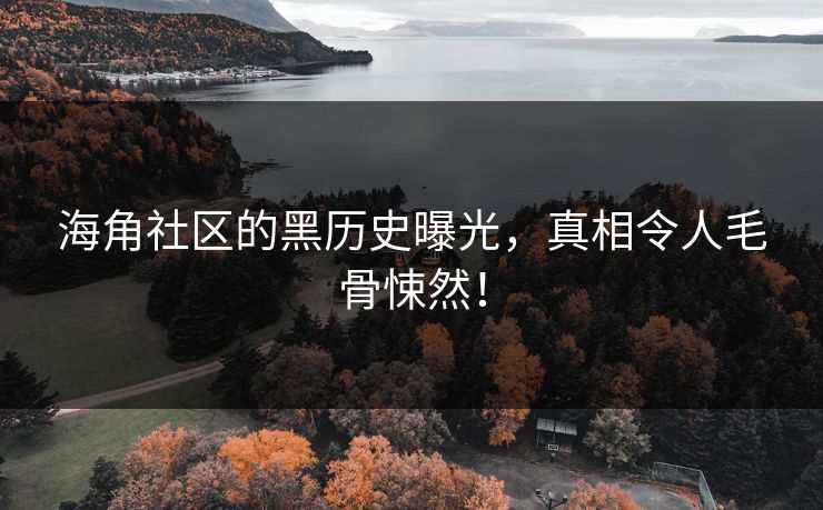 海角社区的黑历史曝光，真相令人毛骨悚然！