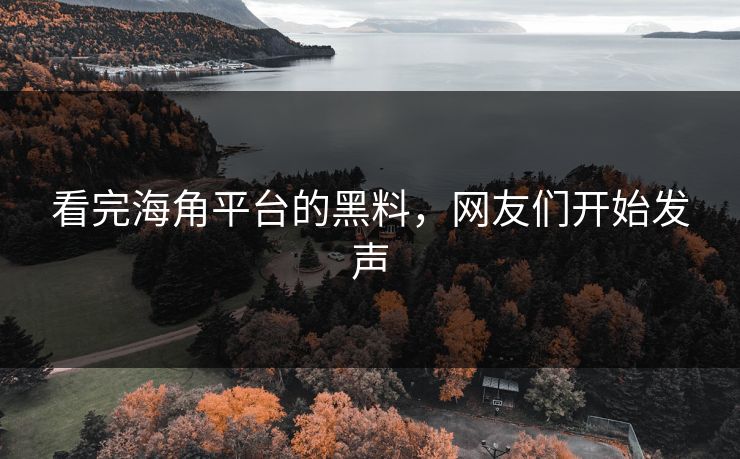 看完海角平台的黑料，网友们开始发声