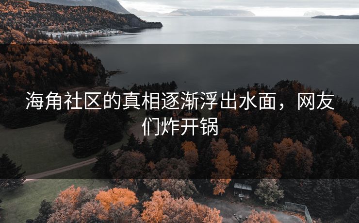 海角社区的真相逐渐浮出水面，网友们炸开锅