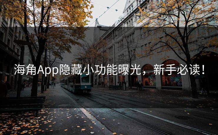 海角App隐藏小功能曝光，新手必读！