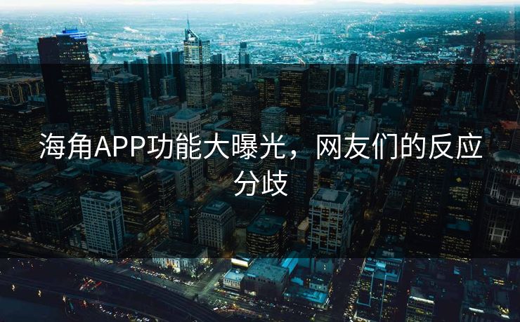 海角APP功能大曝光，网友们的反应分歧