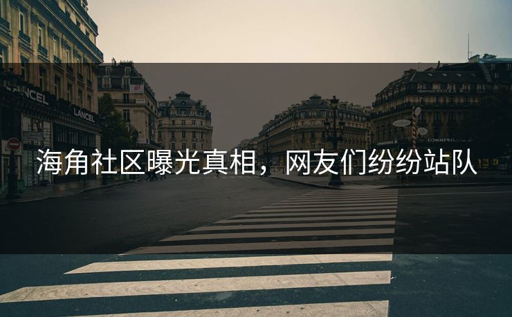 海角社区曝光真相，网友们纷纷站队