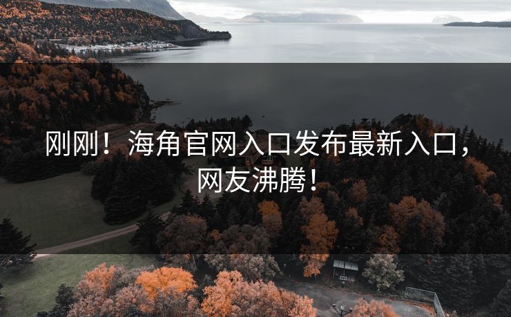 刚刚！海角官网入口发布最新入口，网友沸腾！