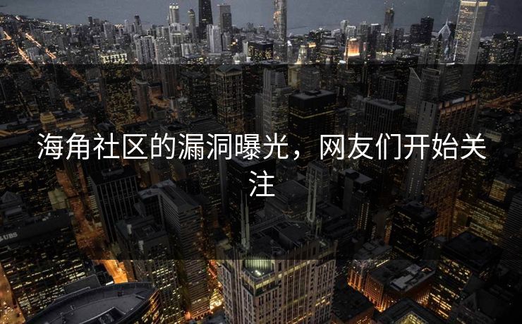 海角社区的漏洞曝光，网友们开始关注