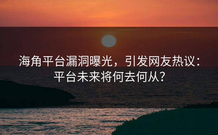 海角平台漏洞曝光，引发网友热议：平台未来将何去何从？
