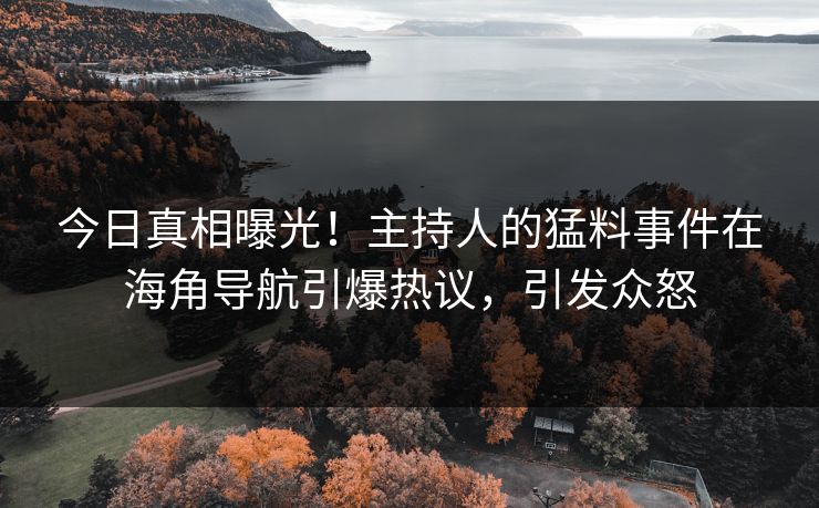 今日真相曝光！主持人的猛料事件在海角导航引爆热议，引发众怒