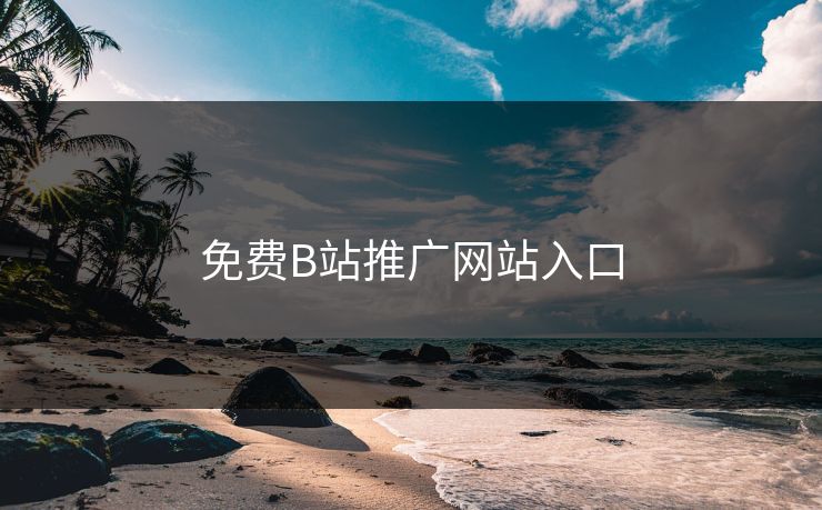 免费B站推广网站入口
