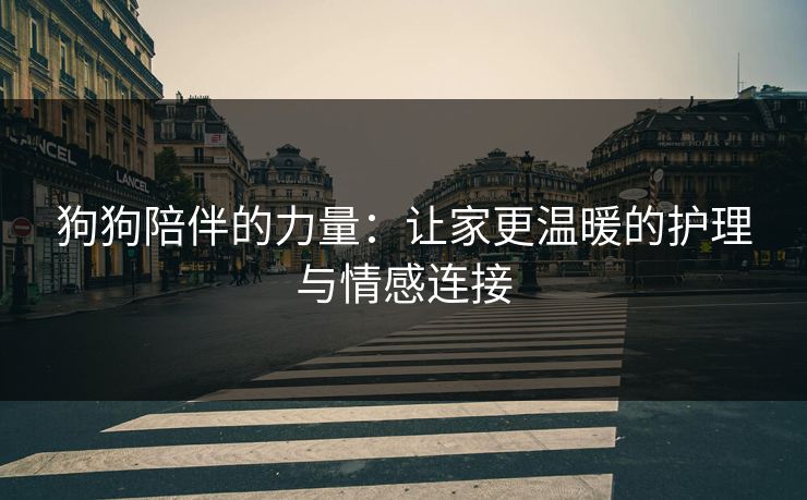 狗狗陪伴的力量：让家更温暖的护理与情感连接