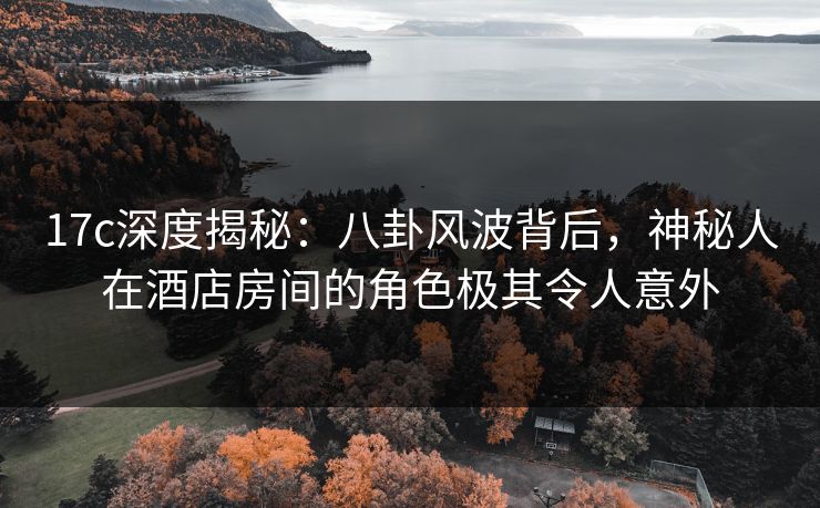 17c深度揭秘：八卦风波背后，神秘人在酒店房间的角色极其令人意外