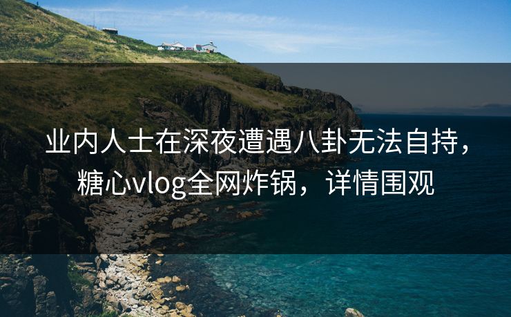 业内人士在深夜遭遇八卦无法自持，糖心vlog全网炸锅，详情围观