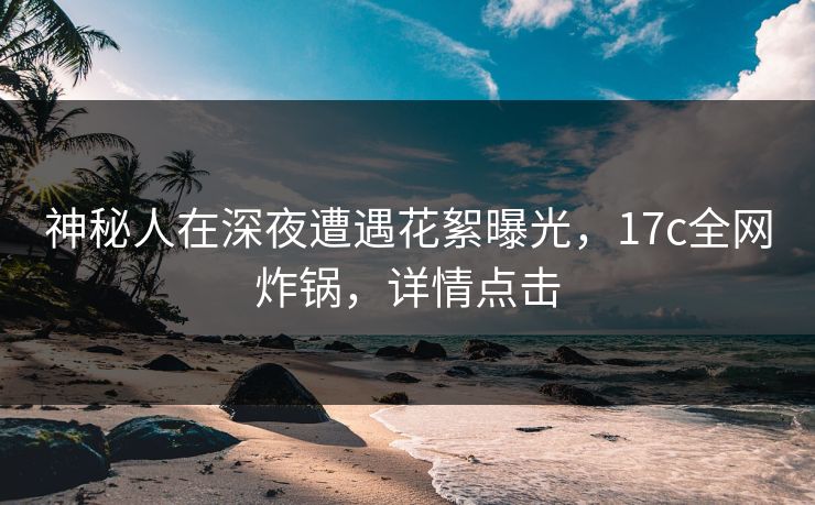 神秘人在深夜遭遇花絮曝光，17c全网炸锅，详情点击