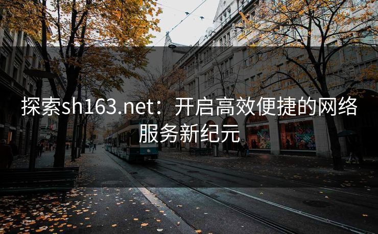 探索sh163.net：开启高效便捷的网络服务新纪元