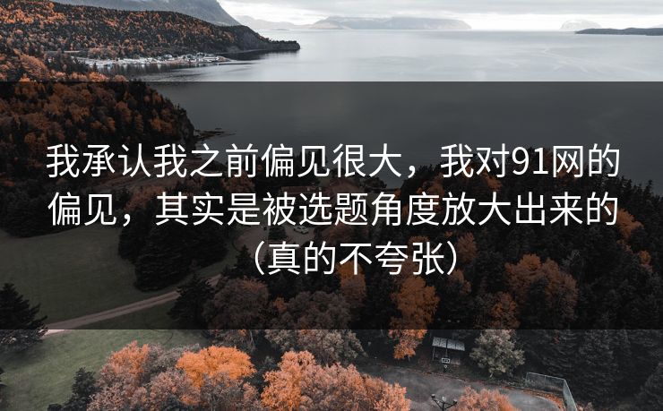 我承认我之前偏见很大，我对91网的偏见，其实是被选题角度放大出来的（真的不夸张）