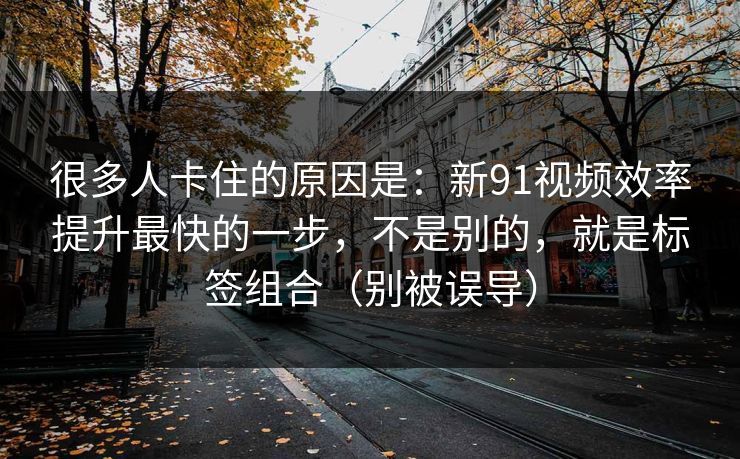 很多人卡住的原因是：新91视频效率提升最快的一步，不是别的，就是标签组合（别被误导）